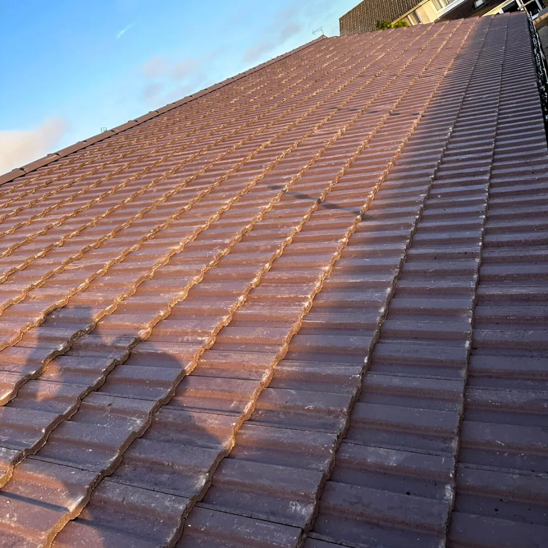 Recent roof project