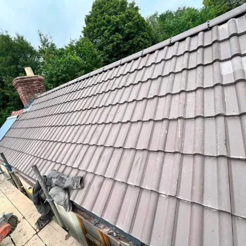 Recent roof project